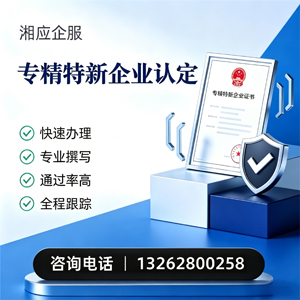 黄山专精特新企业申报服务