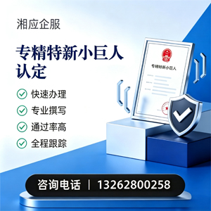 黄山专精特新小巨人申报服务