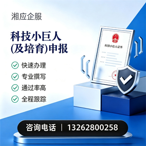 黄山科技小巨人及培育企业申报服务
