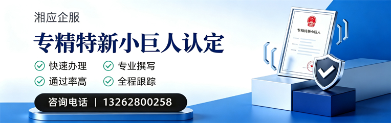 黄山专精特新小巨人申报服务